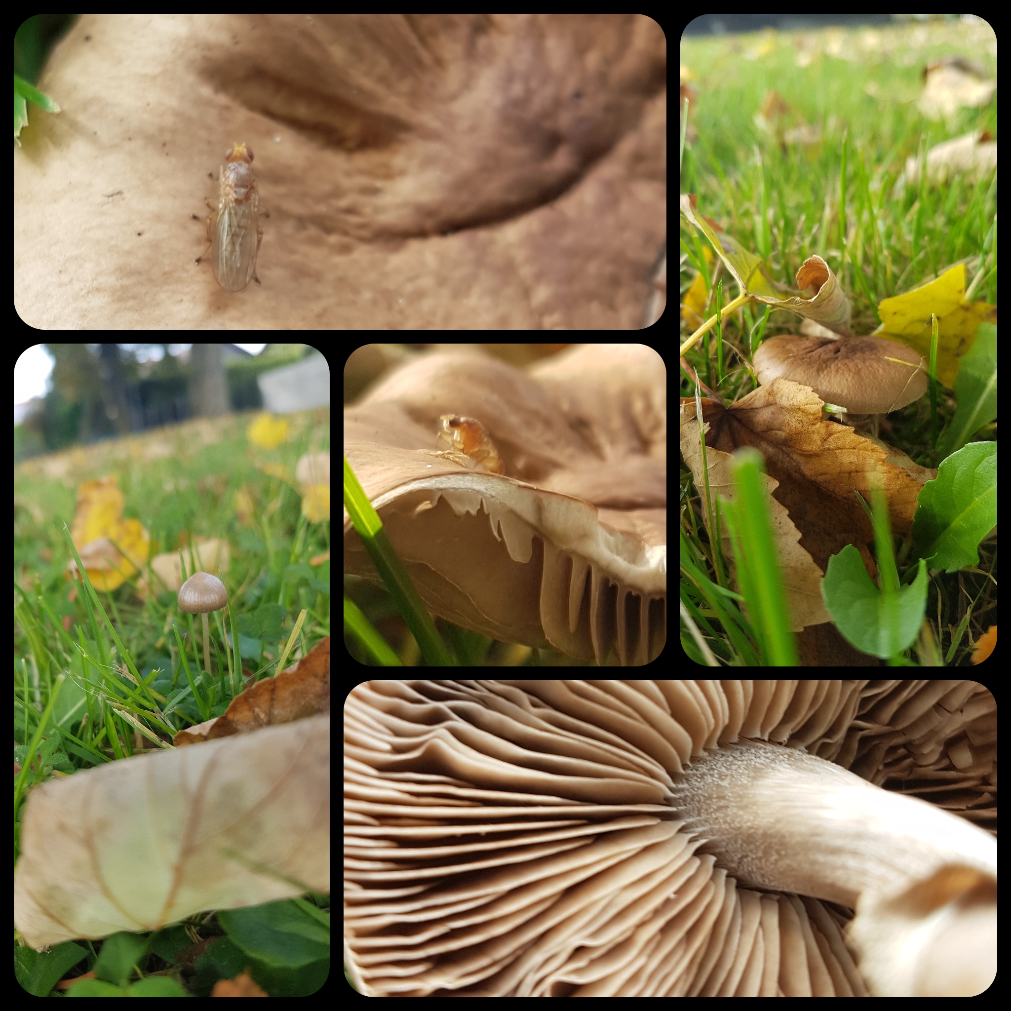 CYMERA_20211020_142327